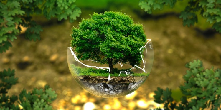 Eco-Sensitive Zones