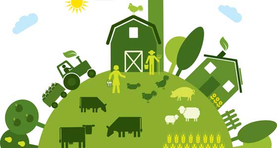 Sustainable Livestock Farming
