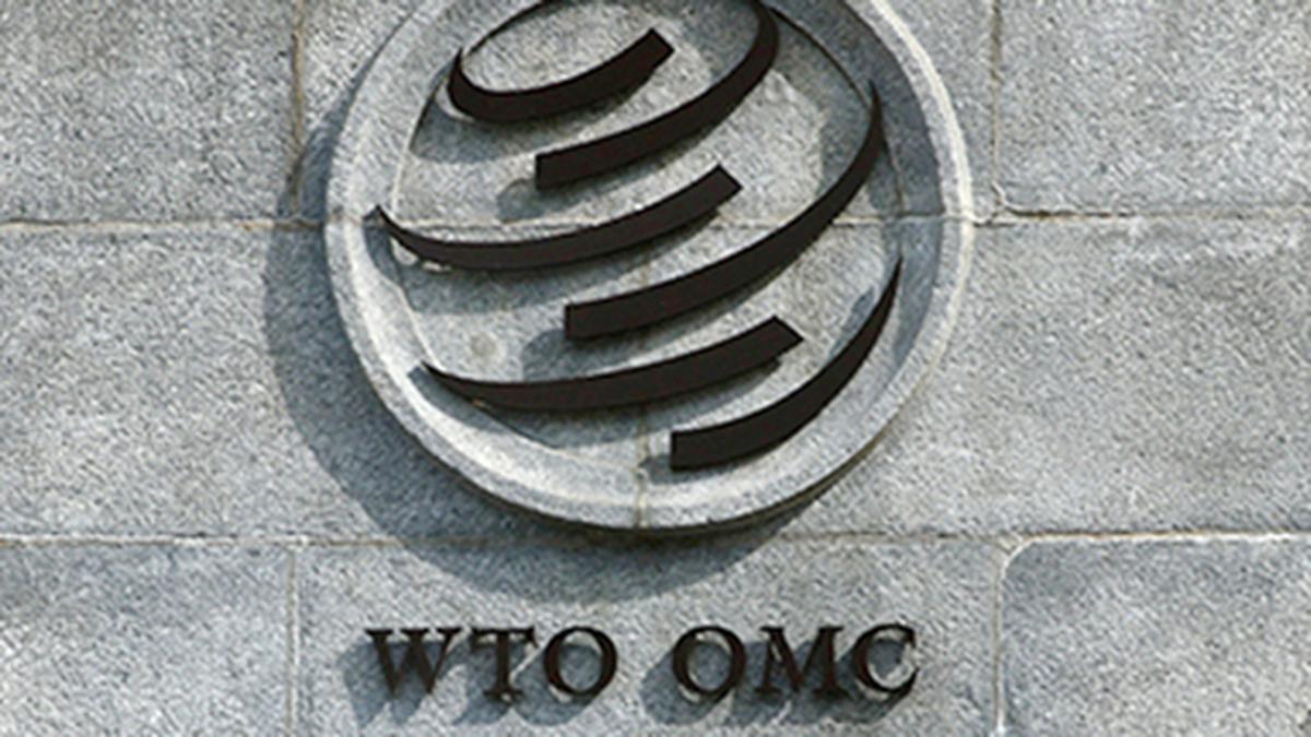 WTO Panel Rules Against India